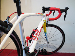 DOMANE_SLR_CustomFlames
