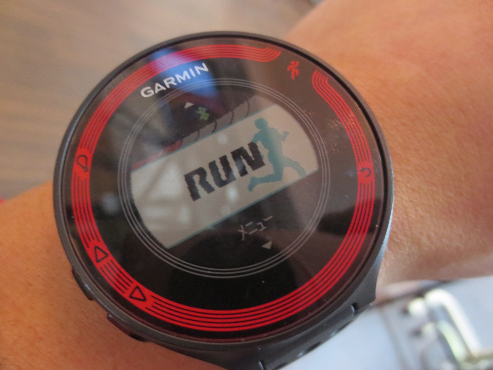 GARMIN_foreathlete220j_03