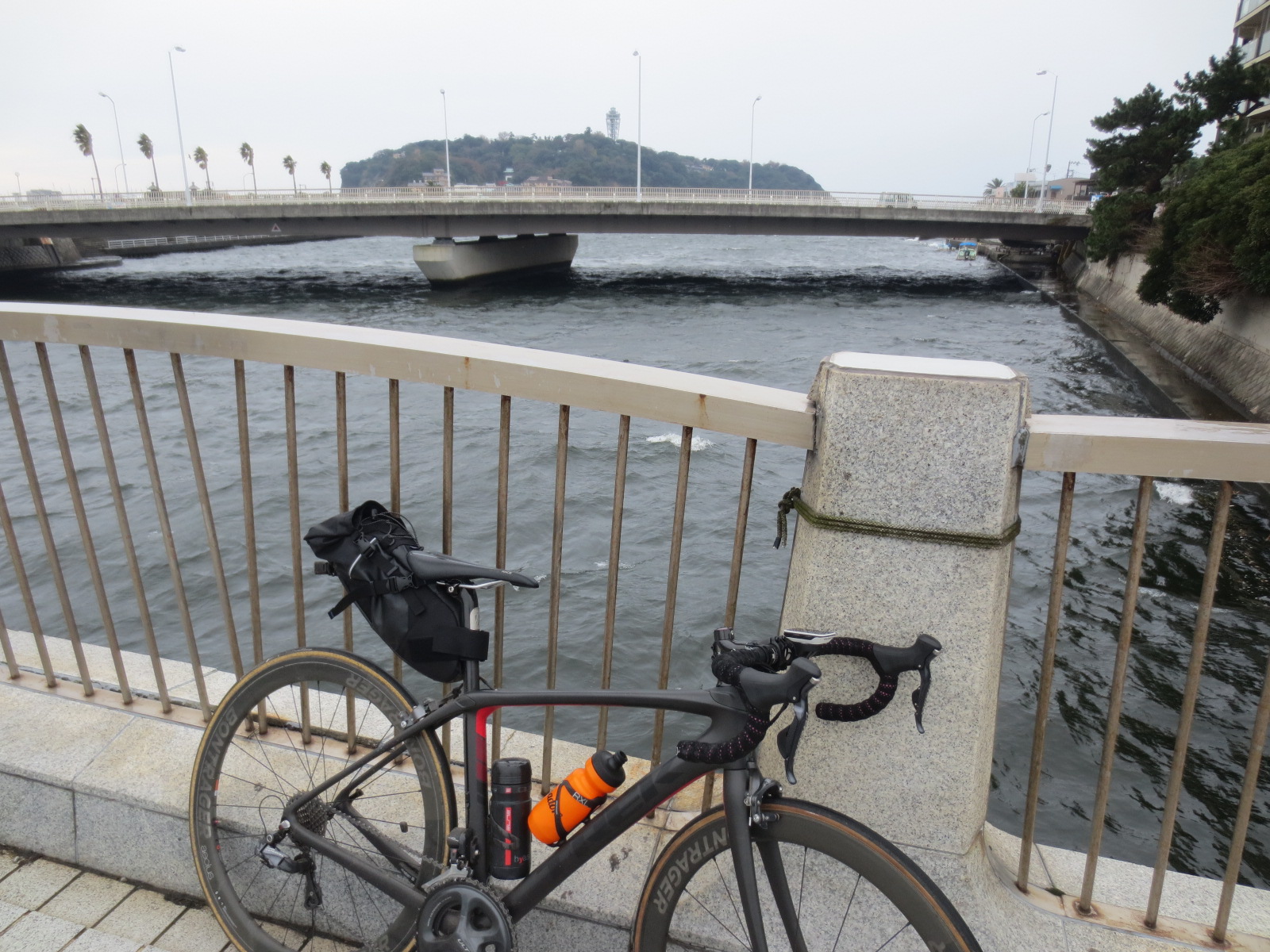 ロードバイクで三浦半島