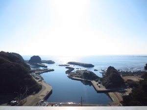 三浦半島忘年ライド